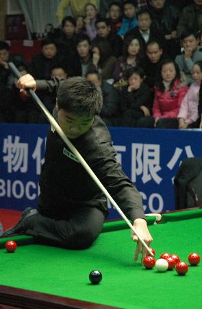 他们押注的 他们押注的