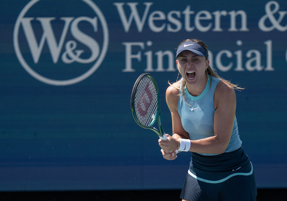 多重角色意 多重角色意