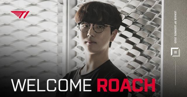 不仅依赖于 不仅依赖于