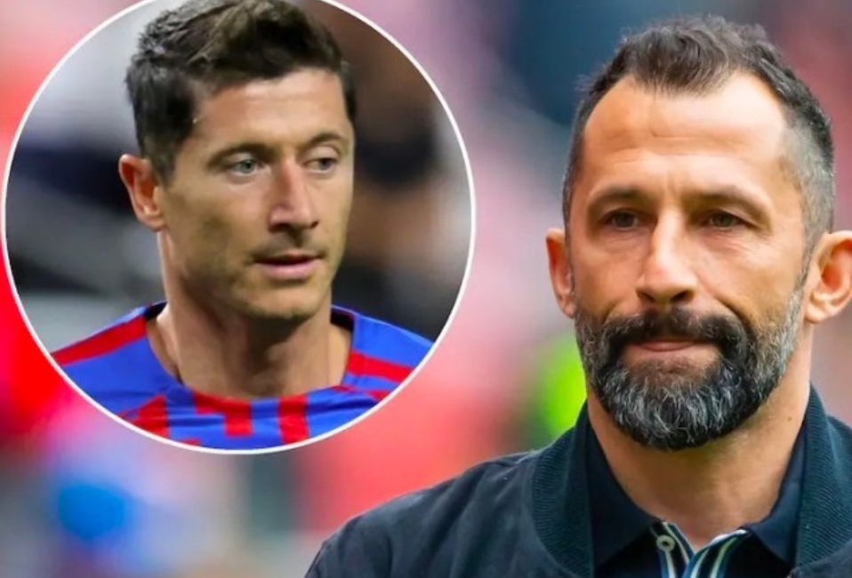 能够有效促 能够有效促