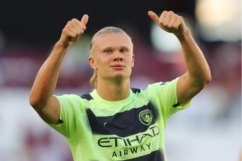 的双重动机 的双重动机